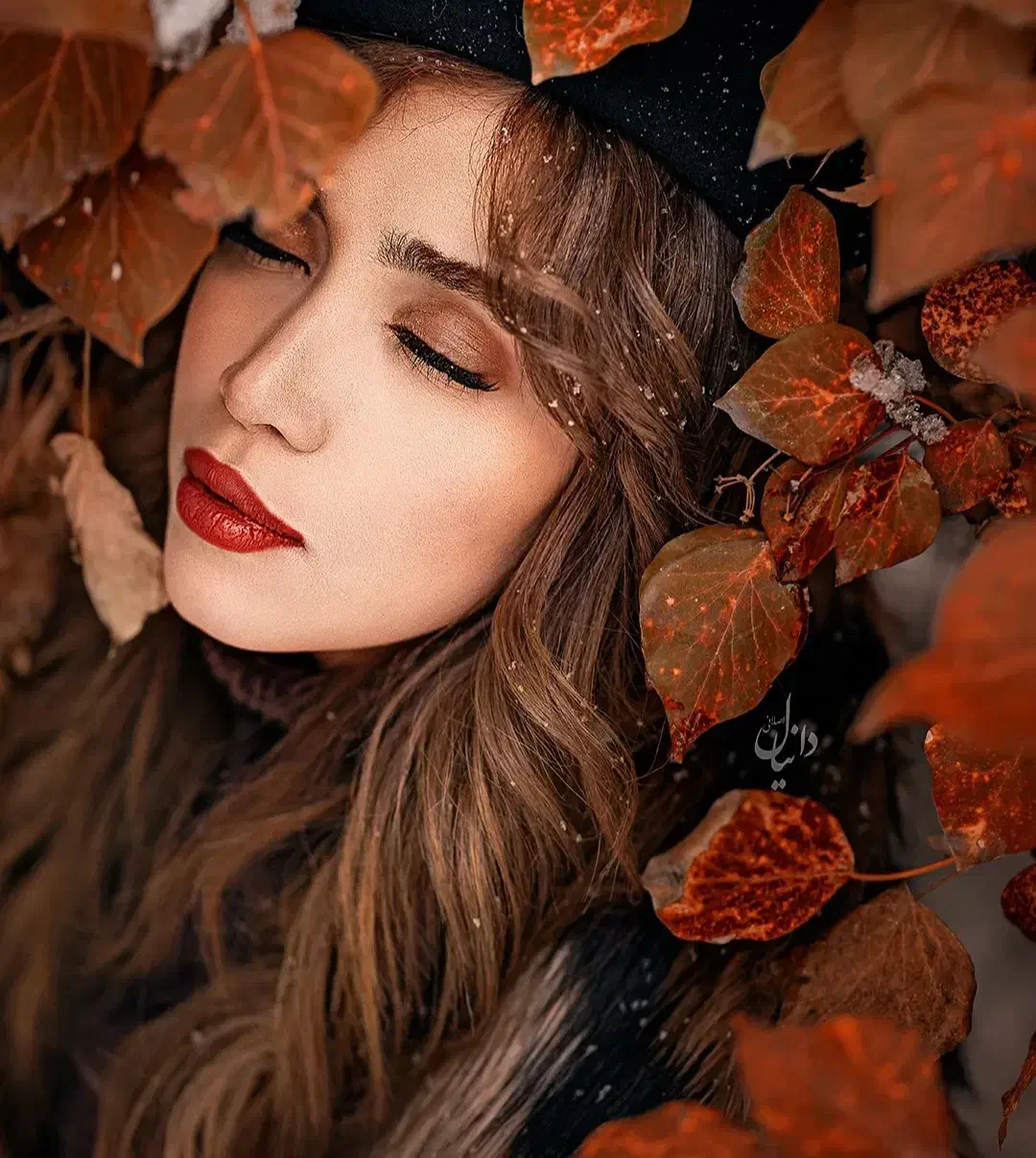 عکاس|خدمات پذیرایی، مراسم|تبریز, |دیوار