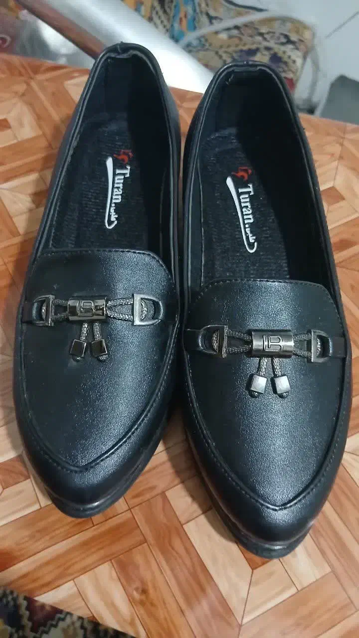 کفش اسپرت کالج|کیف، کفش، کمربند|قم, نیروگاه|دیوار