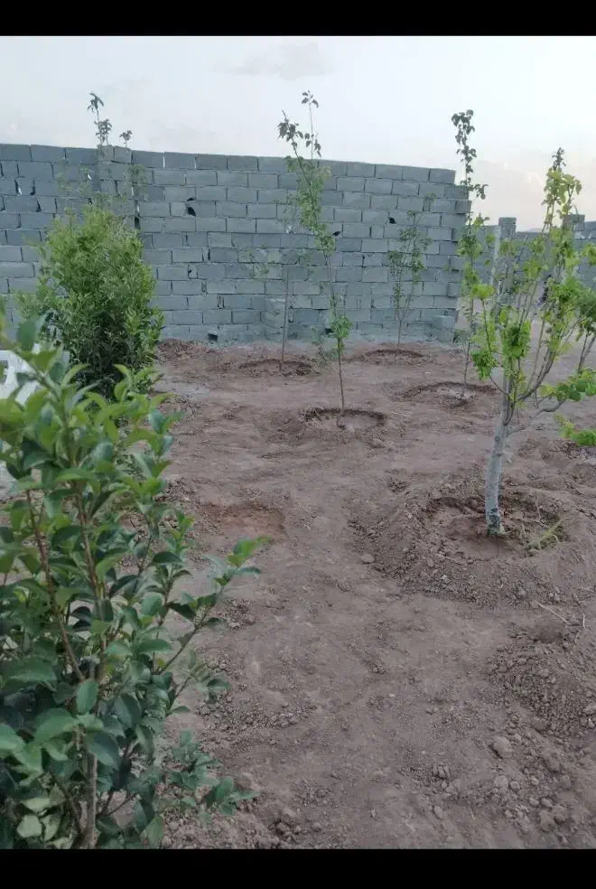 باغچه چار دیواری شده ۱۷۵ متری سند تک برگ|فروش زمین و ملک کلنگی|رباطکریم, رباطکریم|دیوار