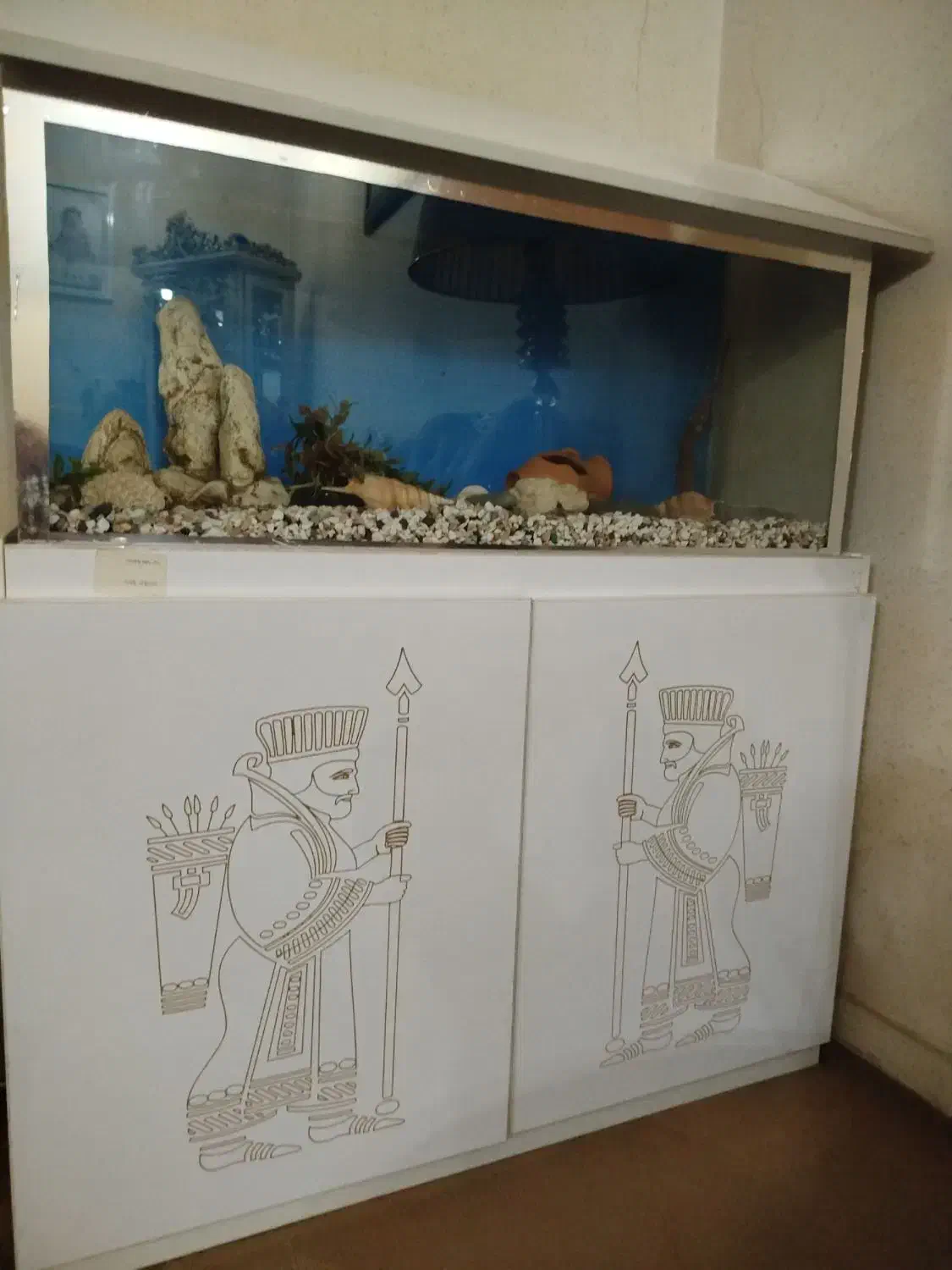 آکواریوم|ماهی|اهواز, شهرک دانشگاه|دیوار