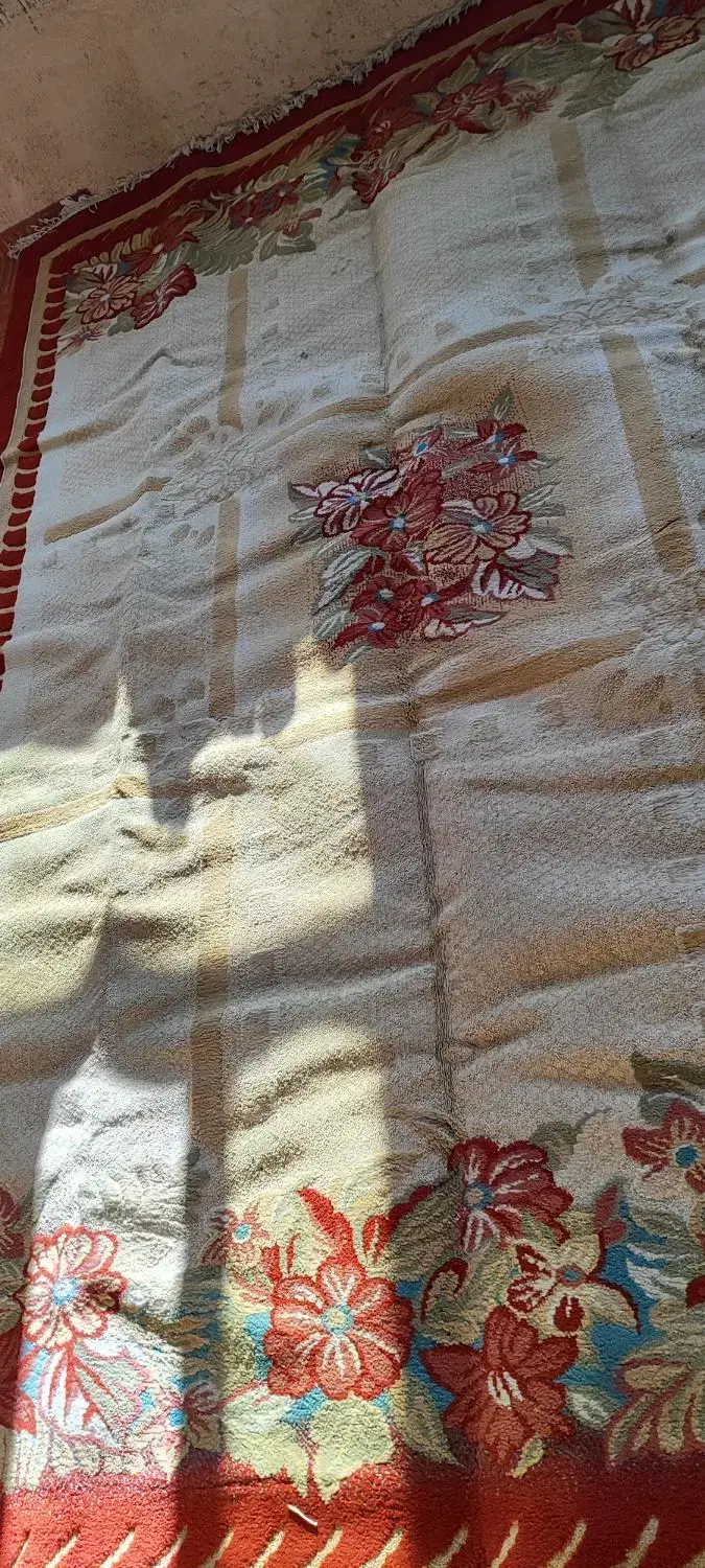 گلیم فرش 9متری|گلیم، جاجیم، گبه|کارزان, |دیوار