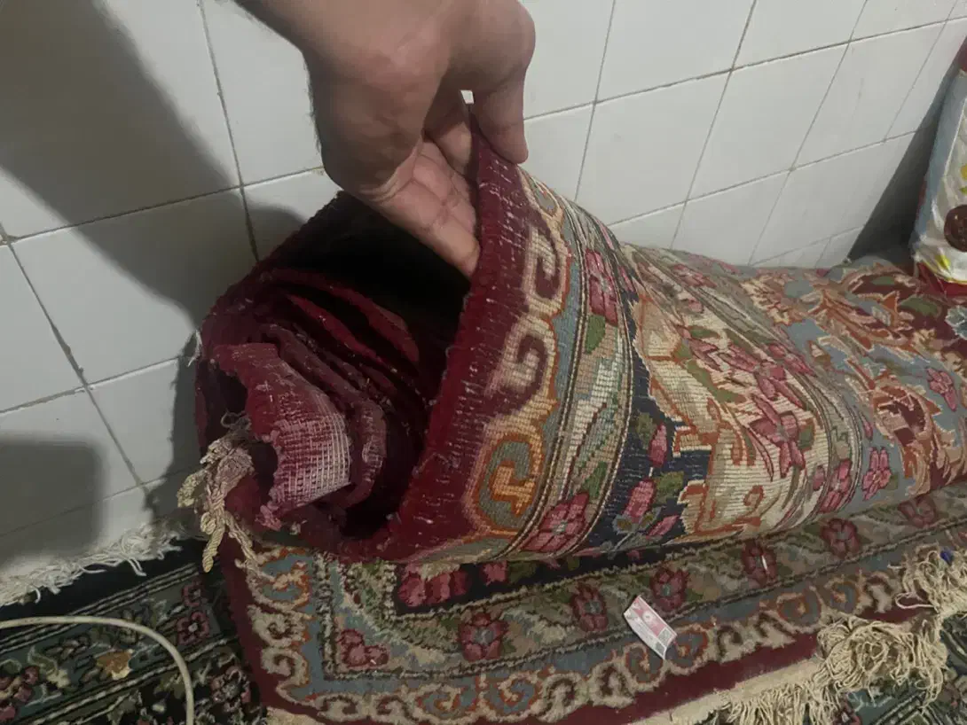 قالی کرمانی دست باف دست دوم|فرش|جیرفت, |دیوار