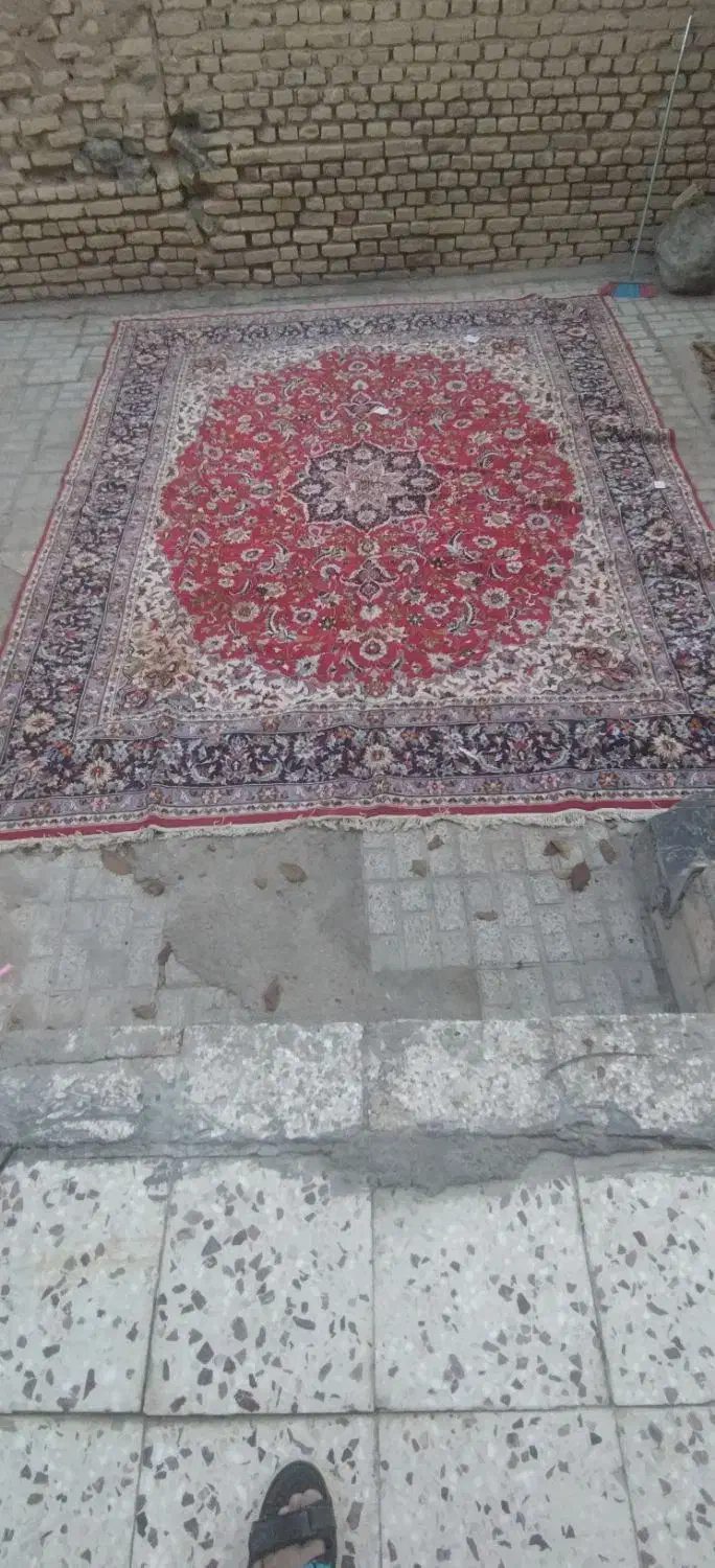 قالی|فرش|بجنورد, |دیوار