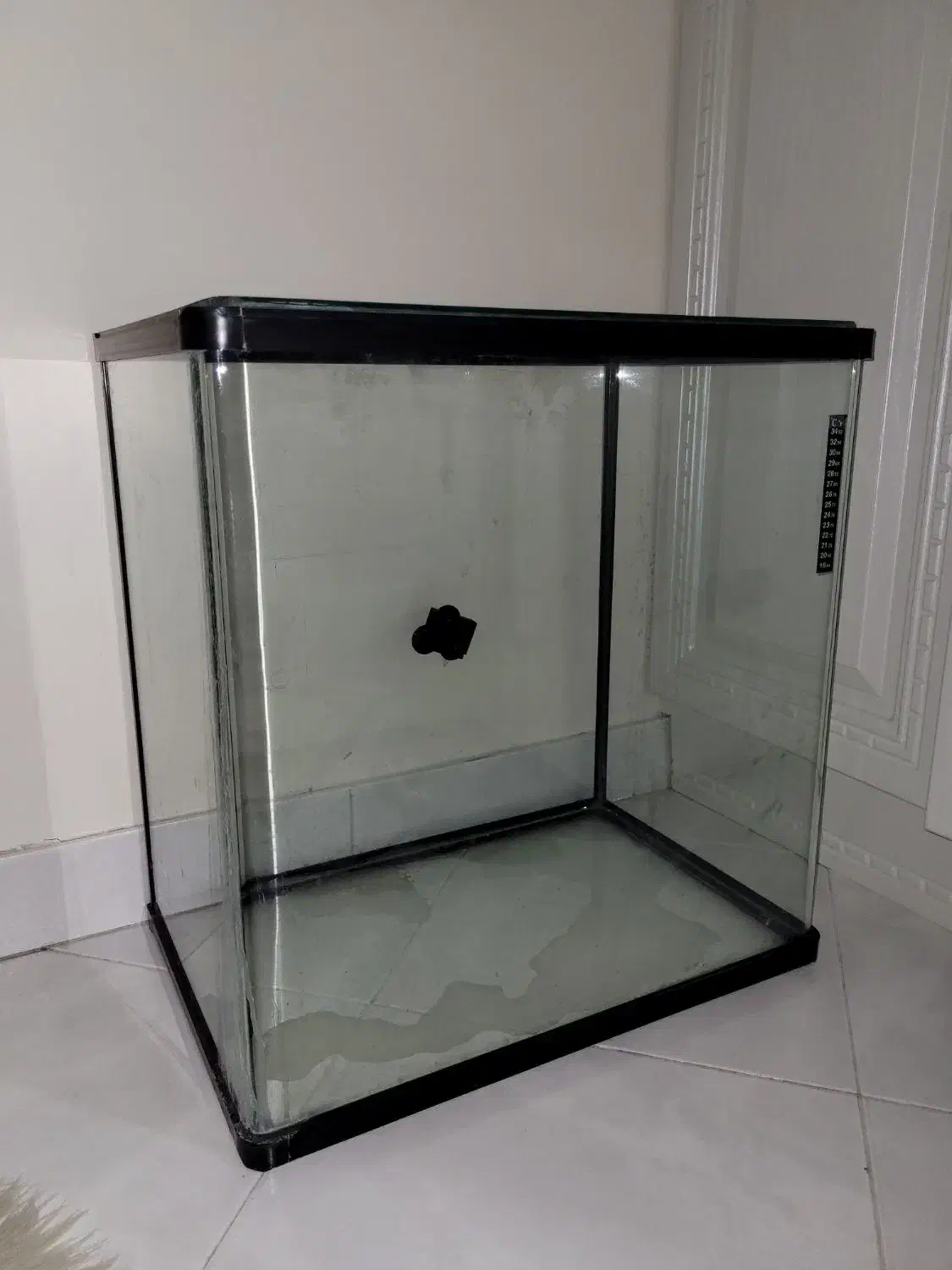 آکواریوم|لوازم جانبی حیوانات|تهران, سوهانک|دیوار