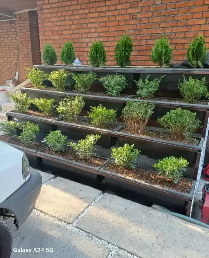 خدمات باغبانی گل کاری هرس کاری تعویض خاک گلدان|خدمات باغبانی و درختکاری|تهران, گیشا|دیوار