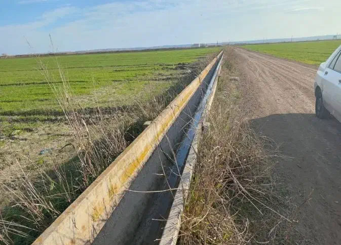 فروش زمین کشاورزی یک هکتار|فروش زمین و ملک کلنگی|پارسآباد, |دیوار