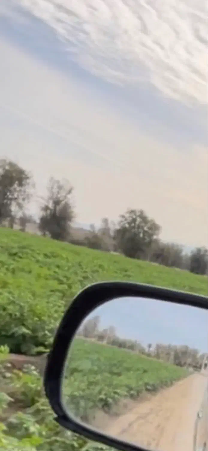 زمین کشاورزی 57هکتار|فروش دفتر صنعتی، کشاورزی، تجاری|رودبار (کرمان), |دیوار