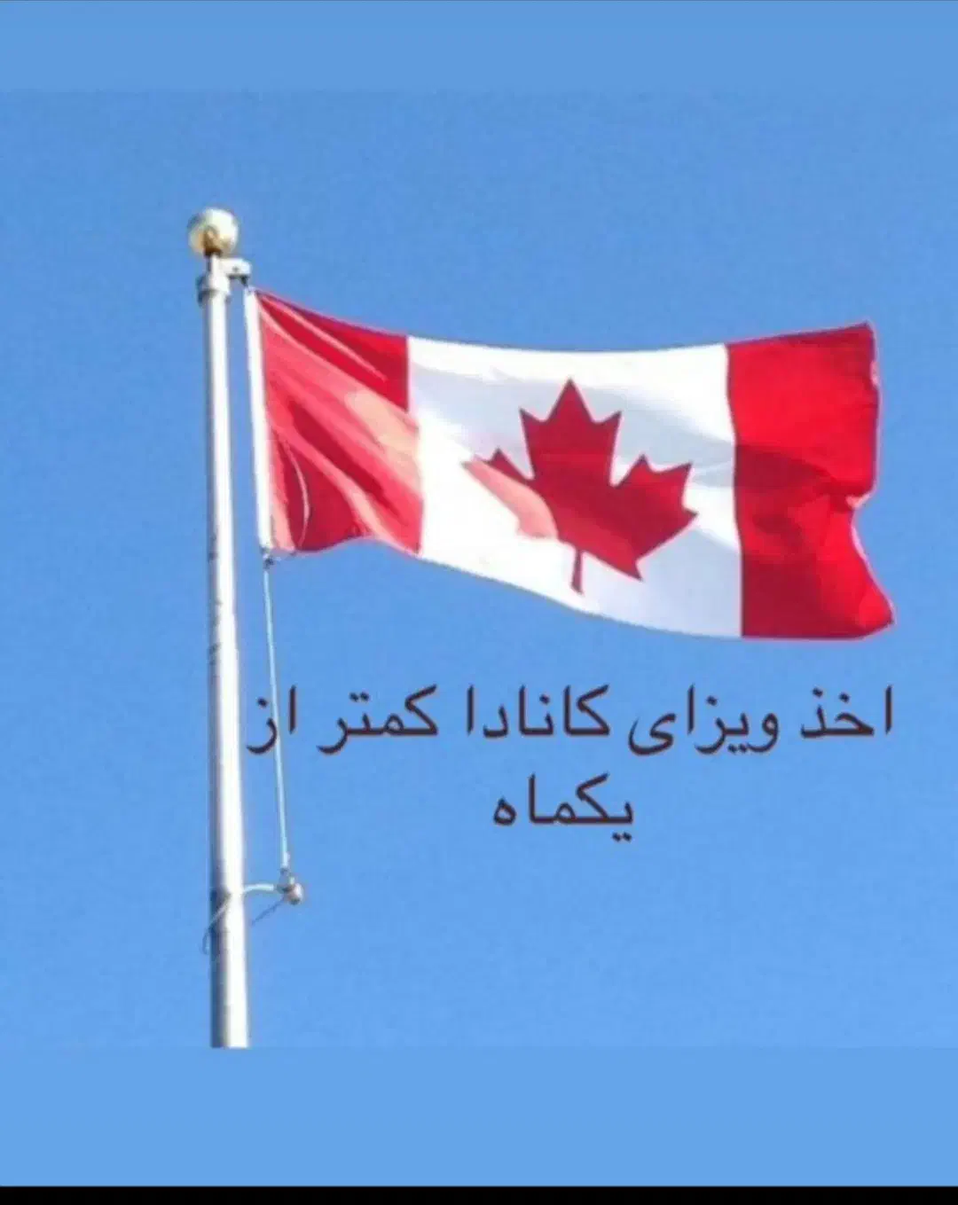 سفر|تور و چارتر|مشکین‌دشت, |دیوار