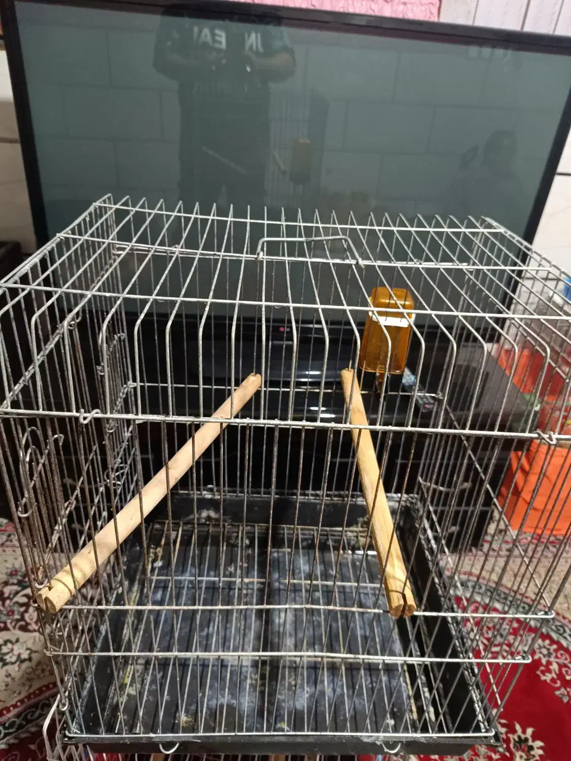 قفس کاسکویی مینا عروس هلندی طوطی برزیلی|لوازم جانبی حیوانات|شیراز, سیاه سنگ|دیوار