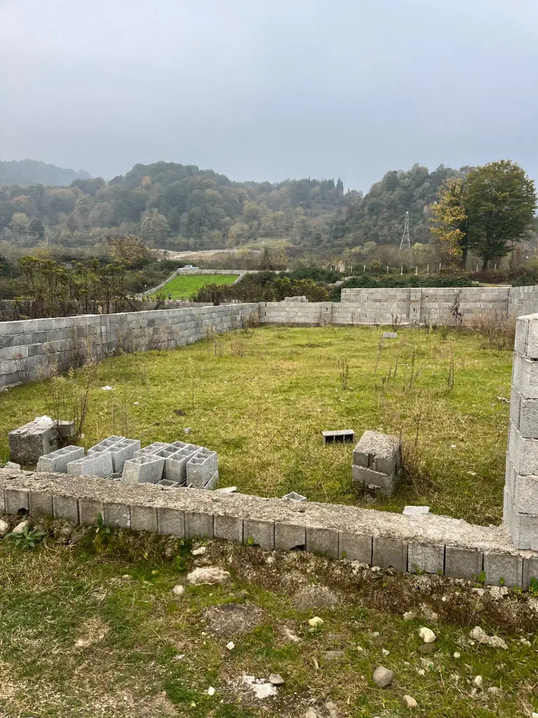 فروش فوری زمین ویو جنگل خیابان شعبانی|فروش زمین و ملک کلنگی|کلارآباد, |دیوار