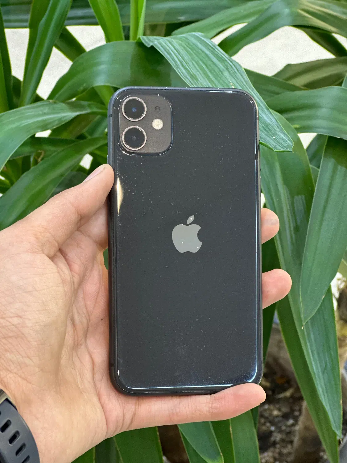 Iphone 11 128gb lla|موبایل|مشهد, بهشت|دیوار