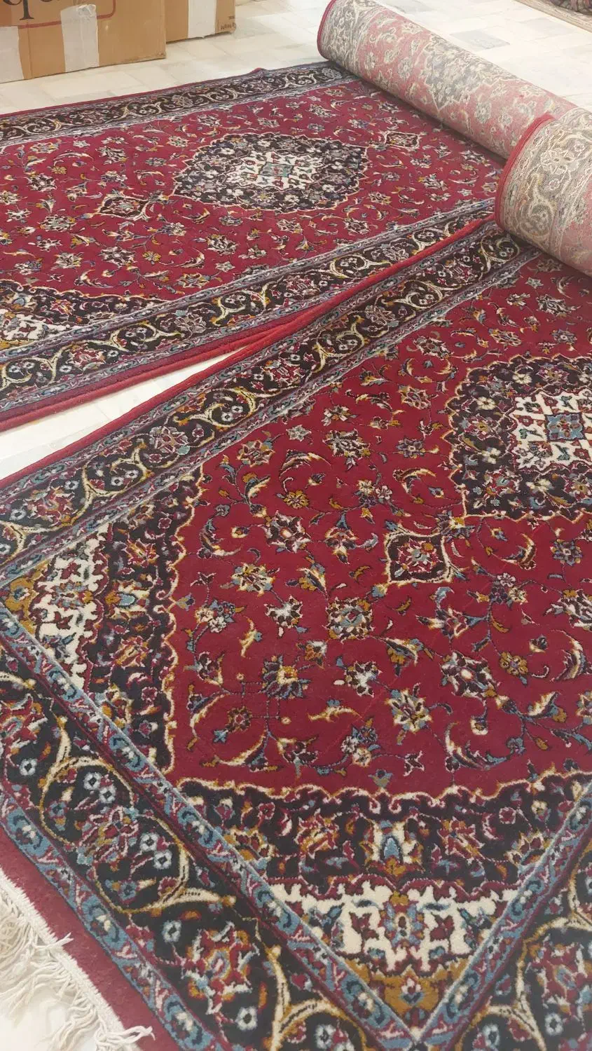کناره فرش ریشه دار قطور زمینه قرمز|فرش|قم, هنرستان|دیوار