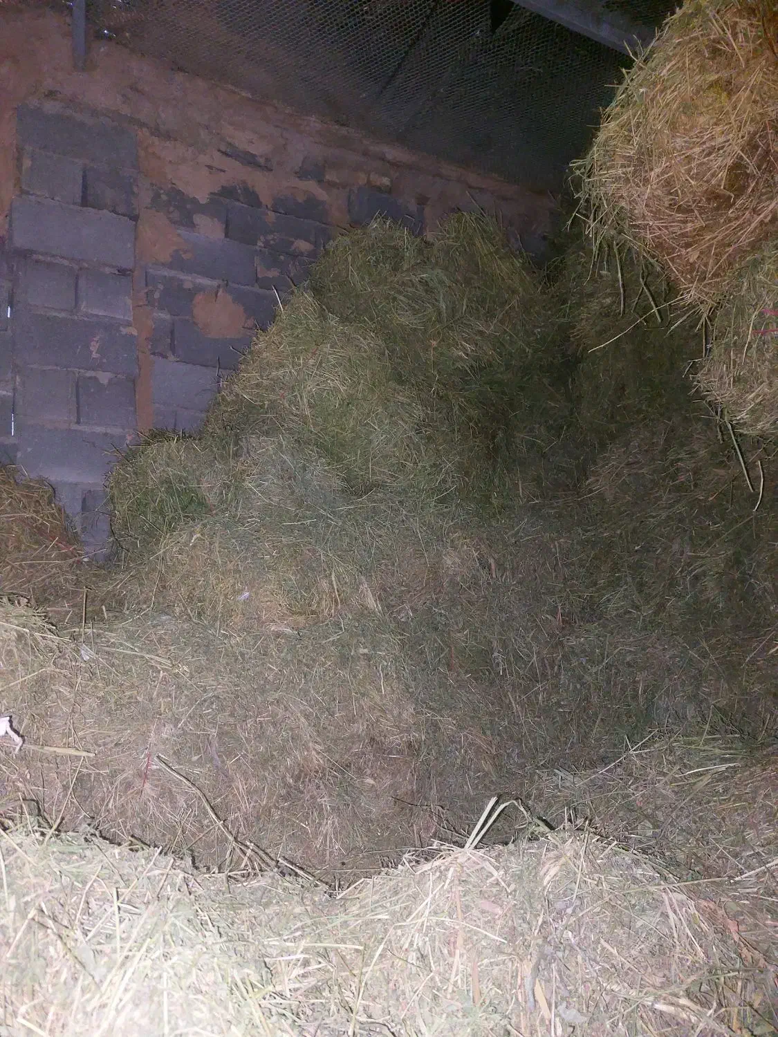 یونجه پرس|لوازم جانبی حیوانات|گرمخان, |دیوار