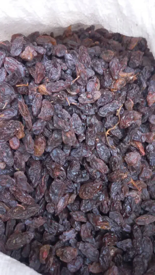 حراج مویزگوشتی درجه یک|خوردنی و آشامیدنی|شیراز, شهرک ترکان|دیوار