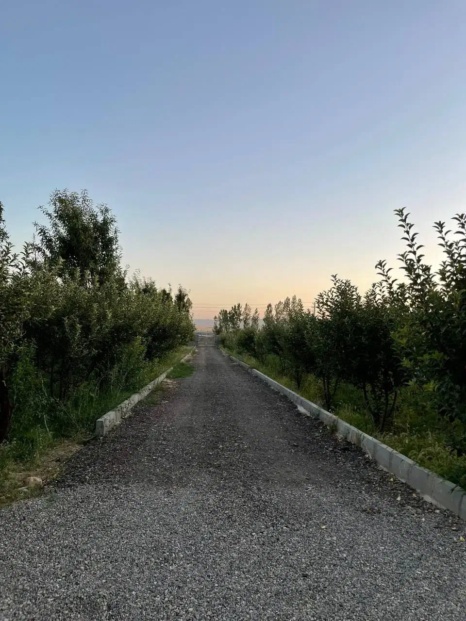 باغ بر اتوبان تهران دارای آب برق گاز|فروش زمین و ملک کلنگی|زنجان, |دیوار