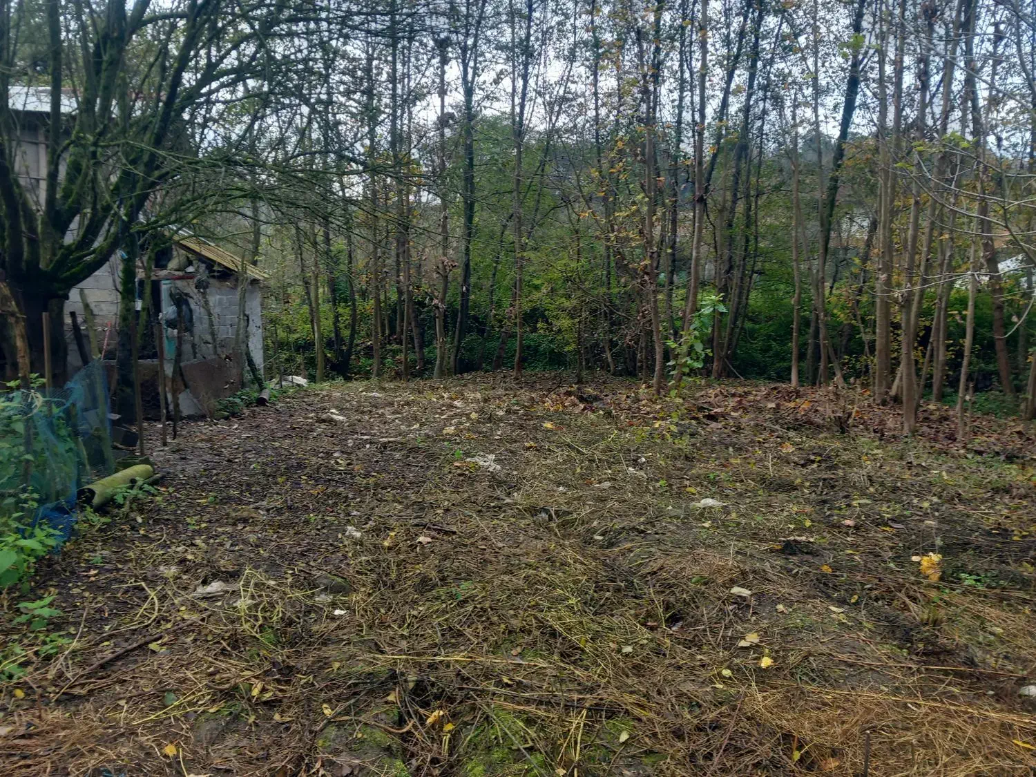 فروش زمین مسکونی بمساحت ۵۰۰متر|فروش زمین و ملک کلنگی|لاهیجان, فیاض|دیوار