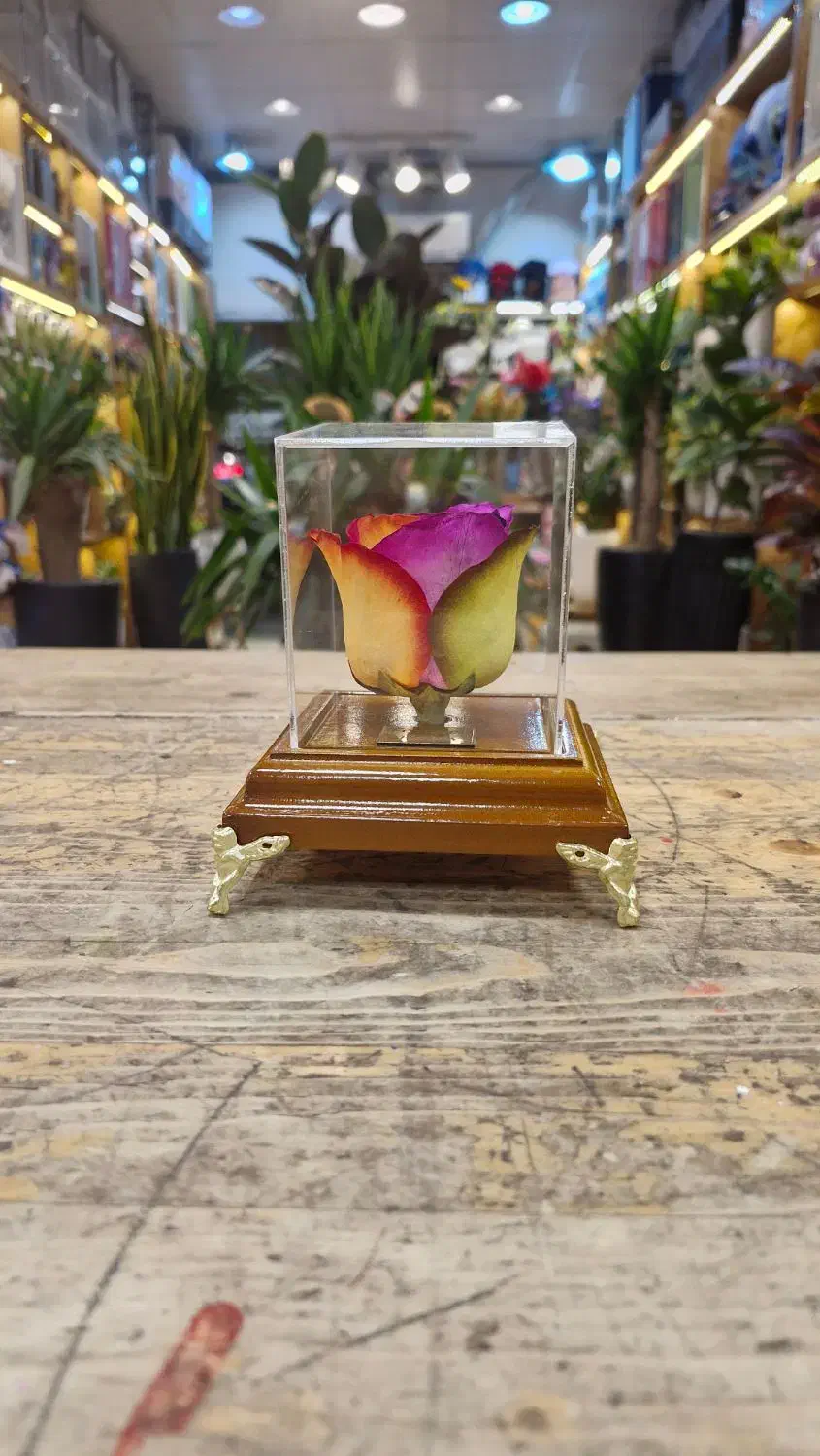 گل روز جاودان|گل مصنوعی|مشهد, آزادشهر|دیوار