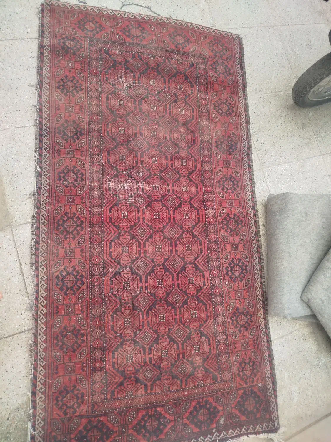 فرش|فرش|کاشمر, |دیوار