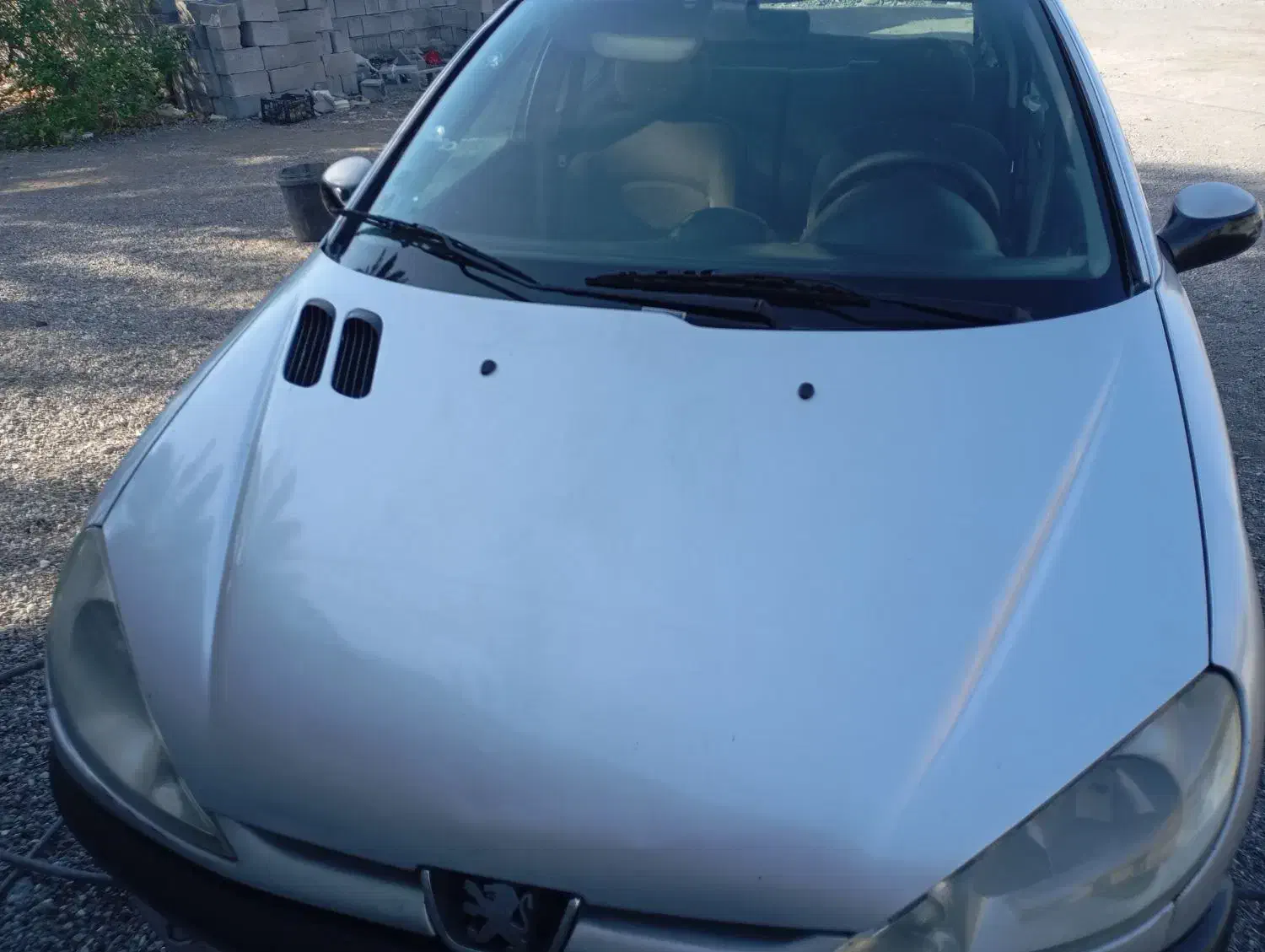 206تیپ 2|خودرو سواری و وانت|میناب, |دیوار