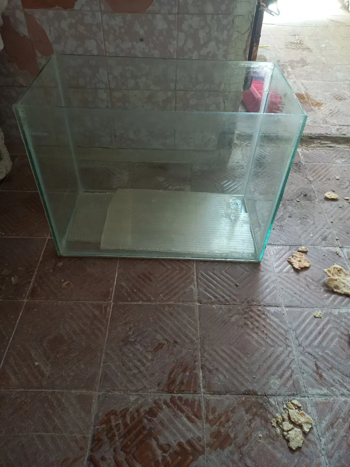 آکواریوم و وسایل فروشی.|ماهی|فسا, |دیوار