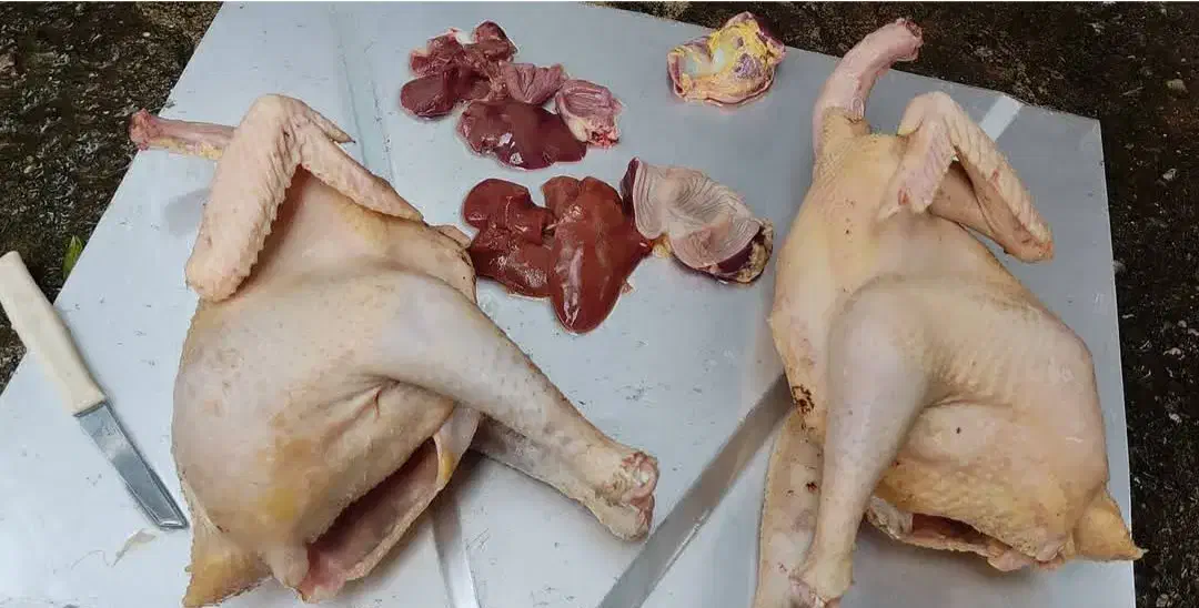 محصولات محلی|خوردنی و آشامیدنی|رشت, بوسار|دیوار