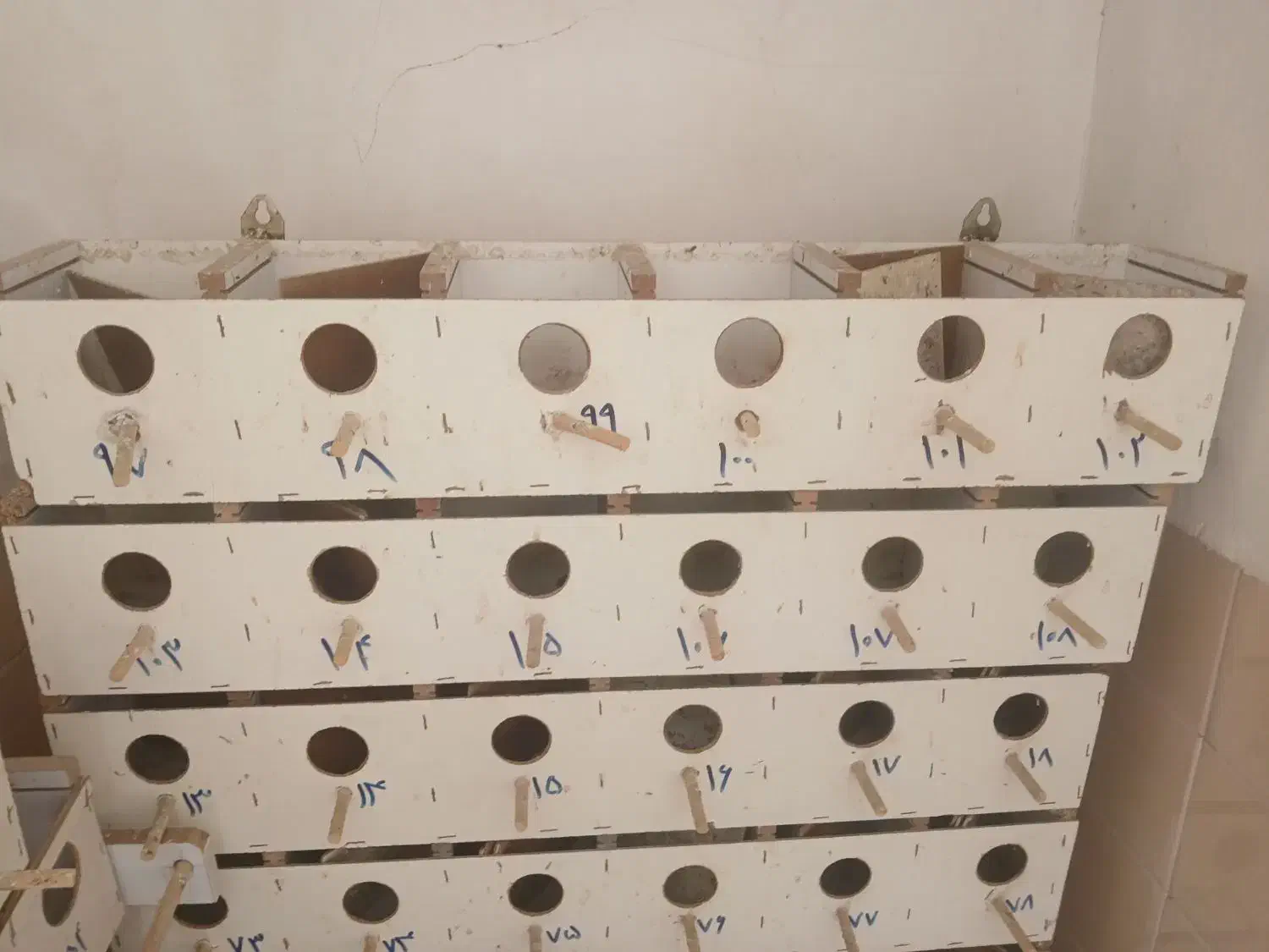 لانه پرنده|لوازم جانبی حیوانات|نیشابور, محله میدان باغات|دیوار