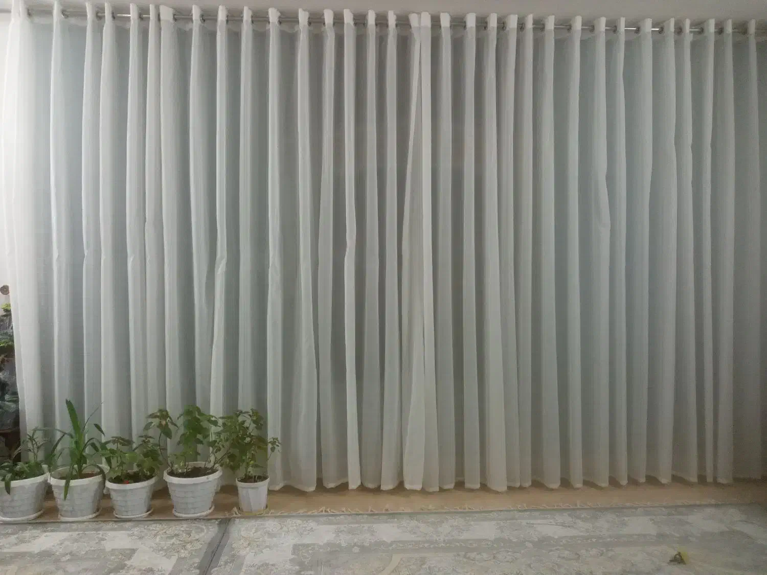 پرده شاین پانچ|پرده، رانر، رومیزی|خمینی‌شهر, |دیوار