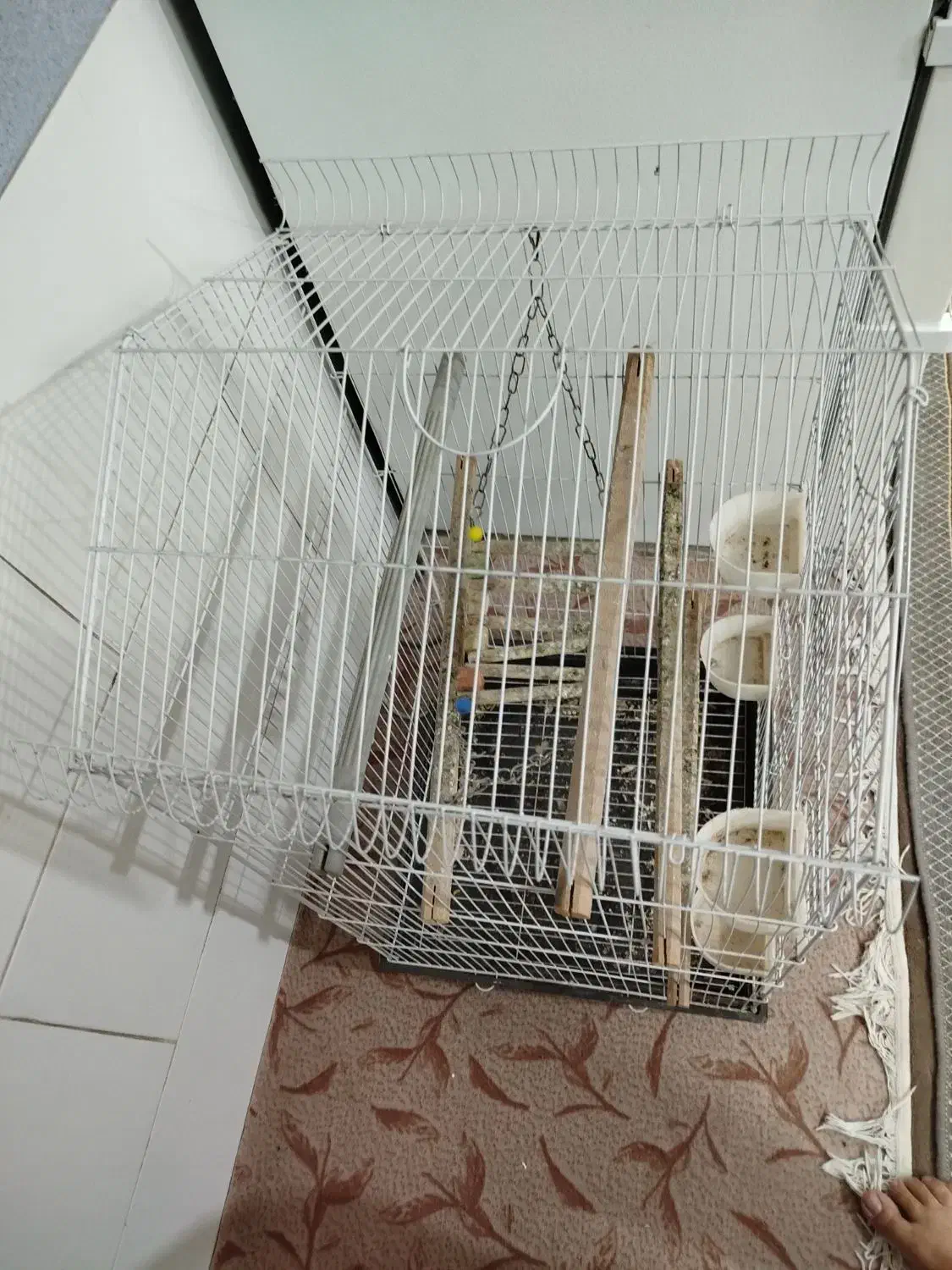 فروش قفس|لوازم جانبی حیوانات|قم, شهر قائم|دیوار