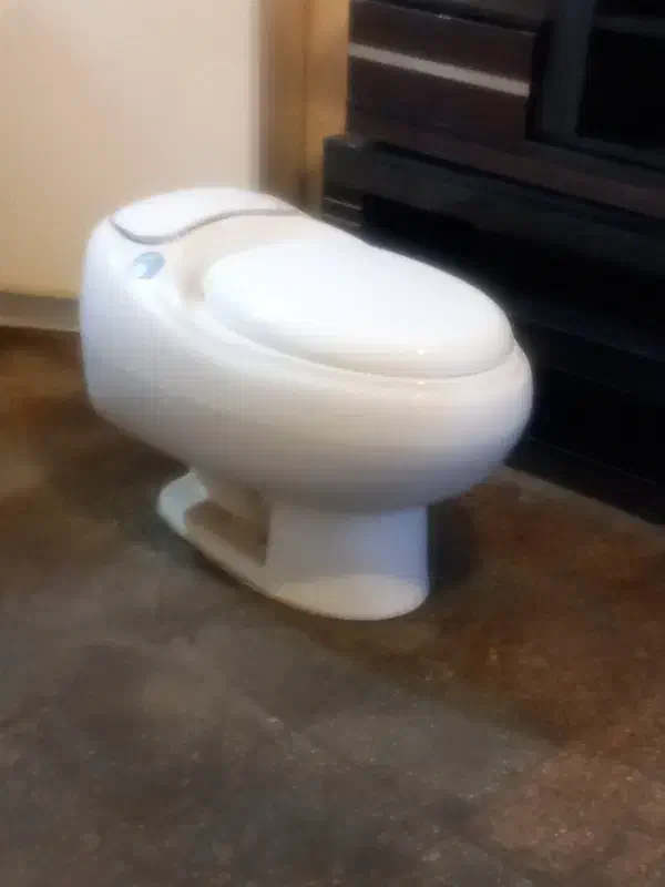 توالت فرنگی|لوازم سرویس بهداشتی|صحنه, |دیوار