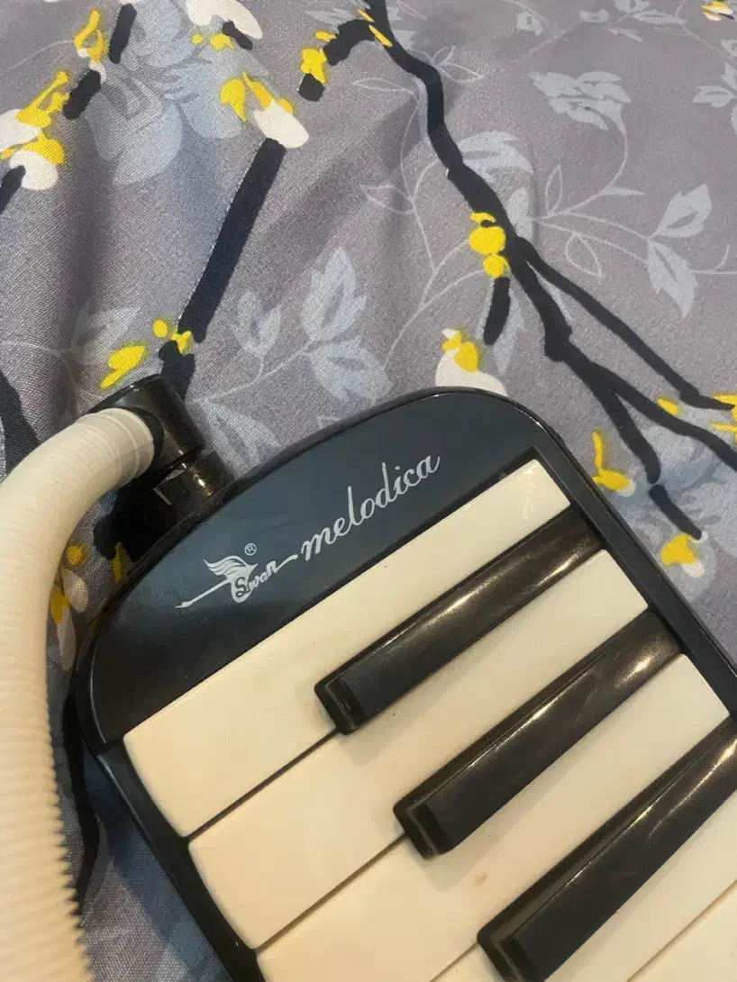 ملودیکا در حد برند سوان|پیانو، کیبورد، آکاردئون|گنبد کاووس, |دیوار