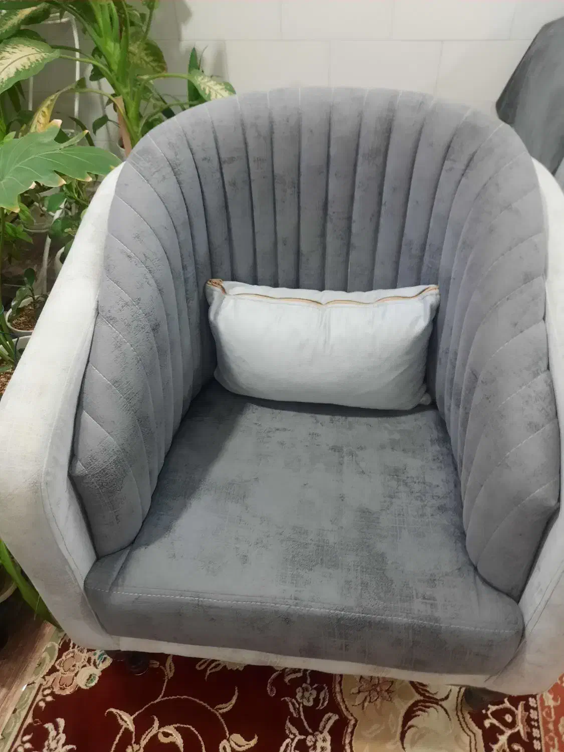 مبل تخت خوابشو|مبلمان خانگی و میز عسلی|زرقان, |دیوار