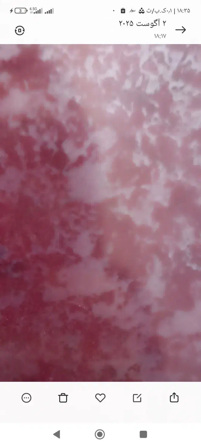 یخچال سینجر کاملا سالم|یخچال و فریزر|اردبیل, |دیوار