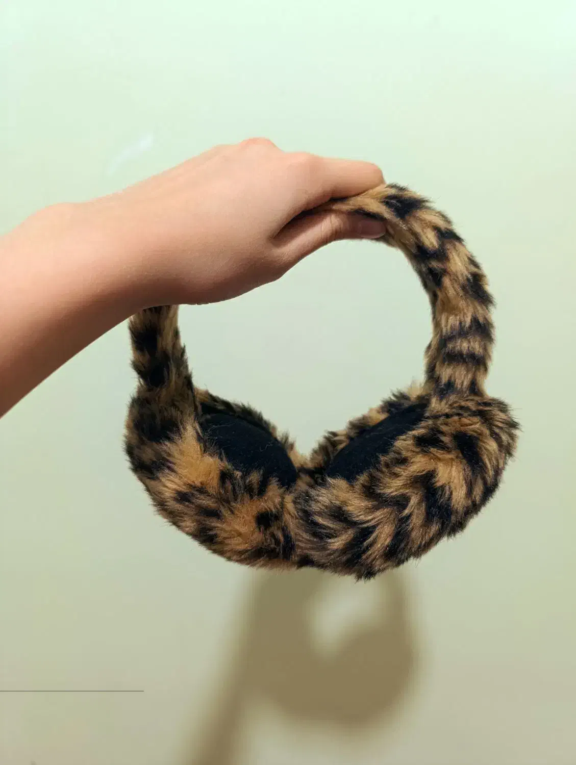 گوشگیر پلنگی نو|لباس|مشهد, حسابی جنوبی (شهرک غرب)|دیوار