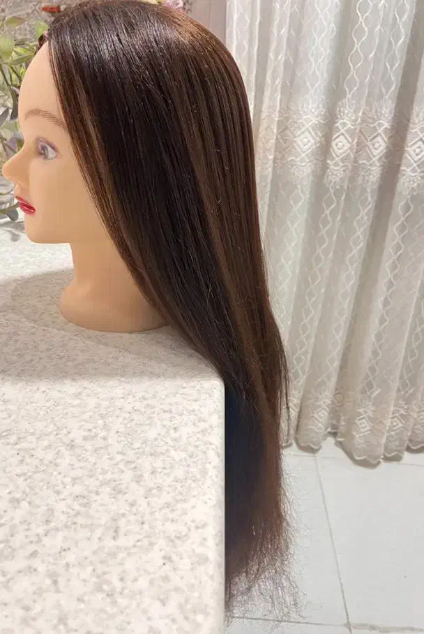 سر مانکن نو|آرایشگاه و سالن‌های زیبایی|مبارکه, |دیوار