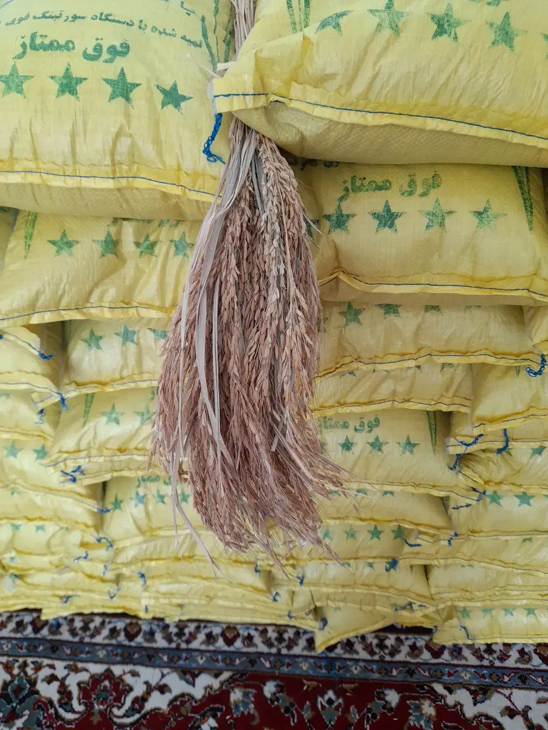 برنج گیلان|خوردنی و آشامیدنی|نجفآباد, هفده شهریور|دیوار