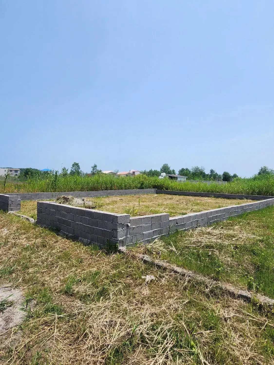 ۲۰۰ متر تا انشعابات برق گاز /زمین مسکونی ۲۵۰ متری|فروش زمین و ملک کلنگی|چاف و چمخاله, |دیوار