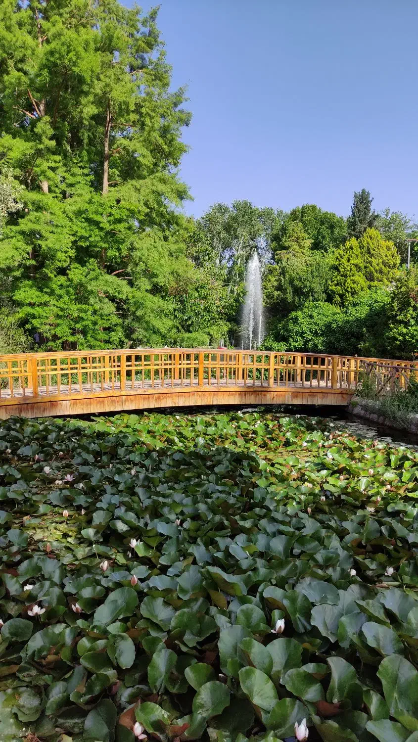 نیازمند سرمایه|خدمات مالی، حسابداری، بیمه|اصفهان, بهارستان (مخابرات)|دیوار