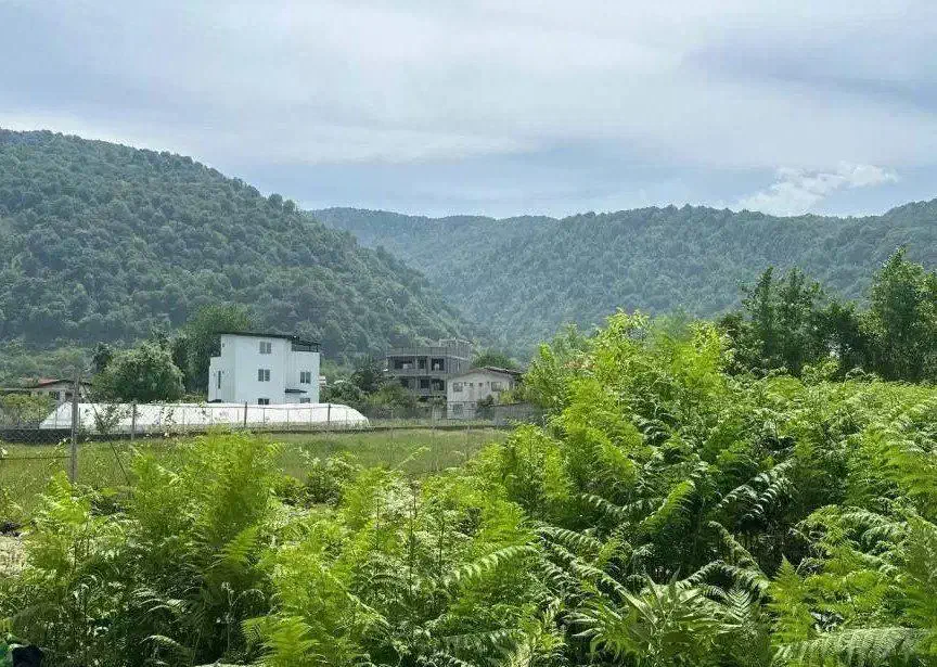 242متر شهرکی با انشعابات و سندتک رسمی|فروش زمین و ملک کلنگی|خرمآباد (تنکابن), |دیوار