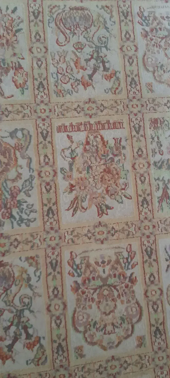 فرش سالم|فرش|چاف و چمخاله, |دیوار