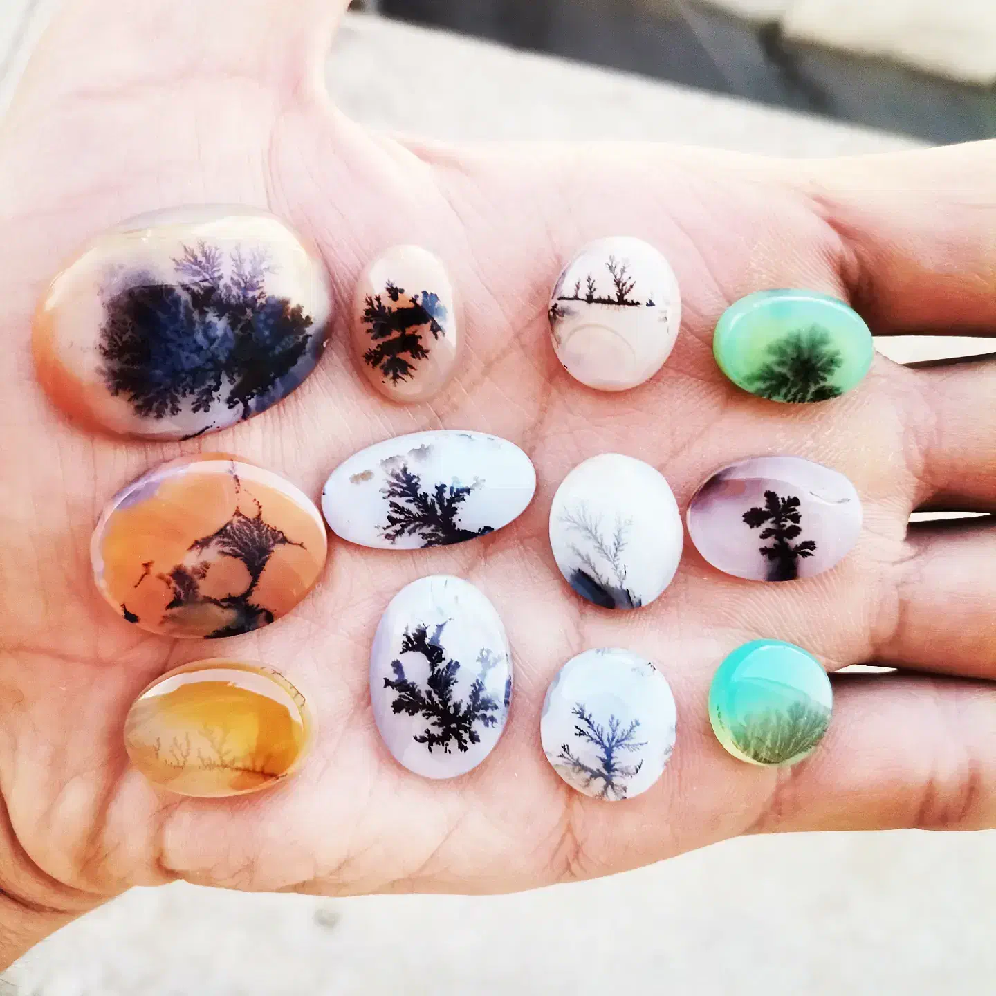 تعداد 60 عدد سنگ شجر|بدلیجات|تهران, هفت حوض|دیوار