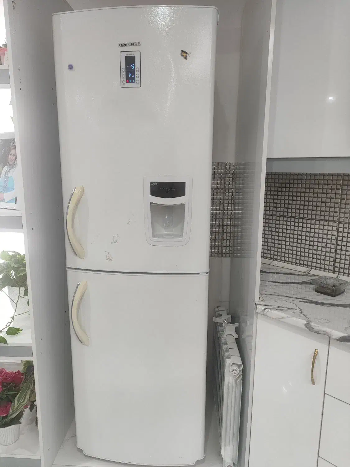 یخچال و فریزر|یخچال و فریزر|فومن, |دیوار