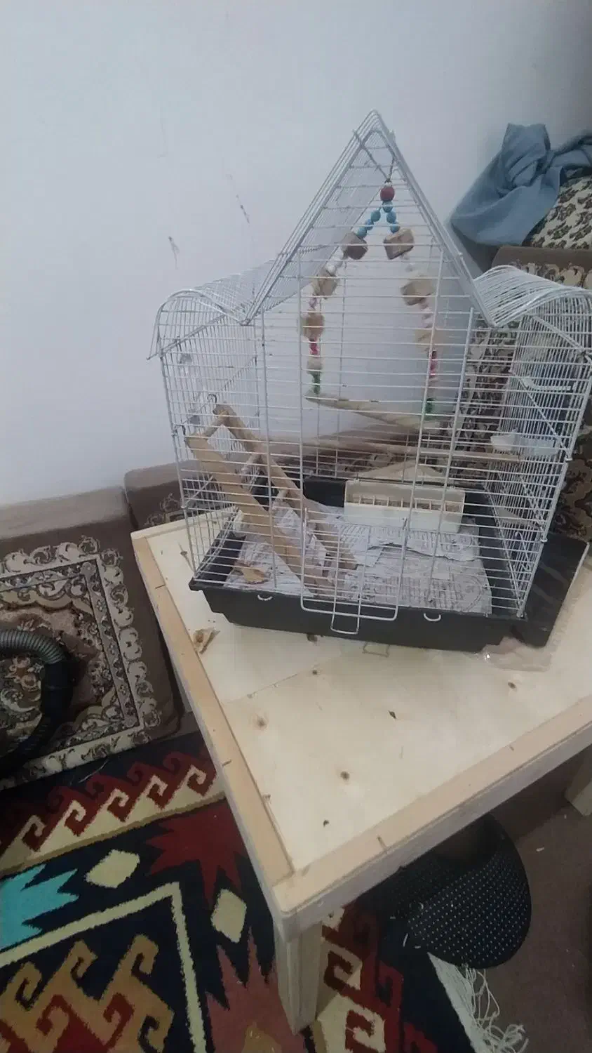 قفس پرنده|لوازم جانبی حیوانات|کرج, خرمدشت|دیوار