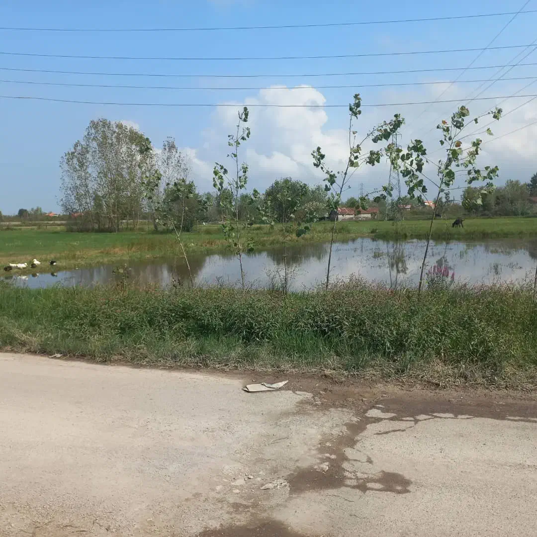 زمین 32 هکتار مناسب شهرک صنعتی. بویین زهرا|فروش زمین و ملک کلنگی|اشتهارد, |دیوار