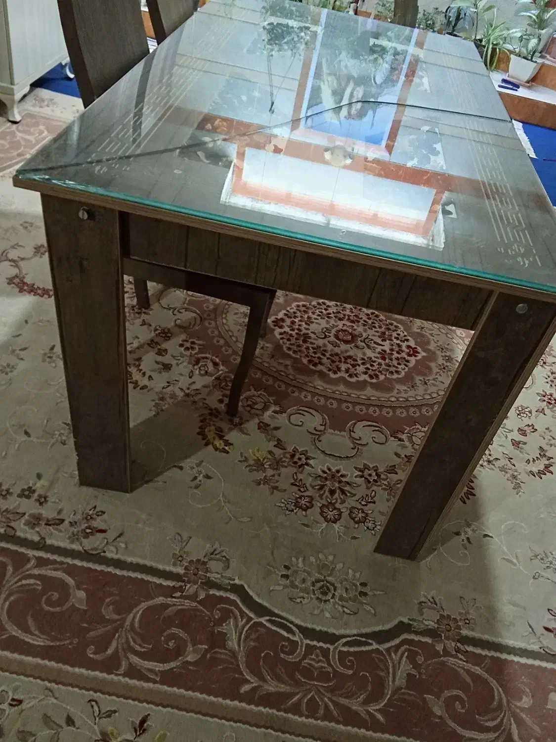 فروش میز وصندلی|میز و صندلی غذاخوری|یاسوج, |دیوار