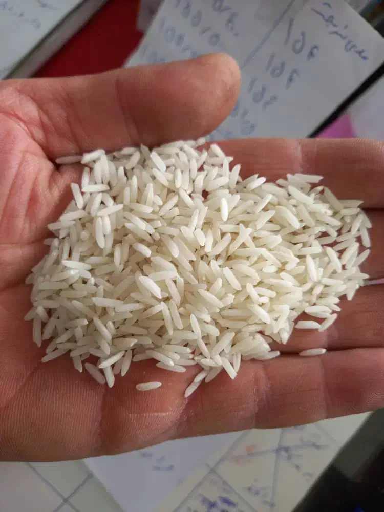 برنج اعلا|خوردنی و آشامیدنی|رشت, استادسرا|دیوار