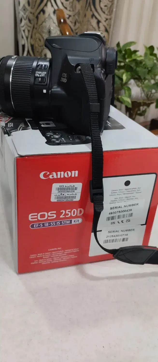 دوربین Canon 250D|دوربین عکاسی و فیلم‌برداری|پرند, فاز ۲|دیوار
