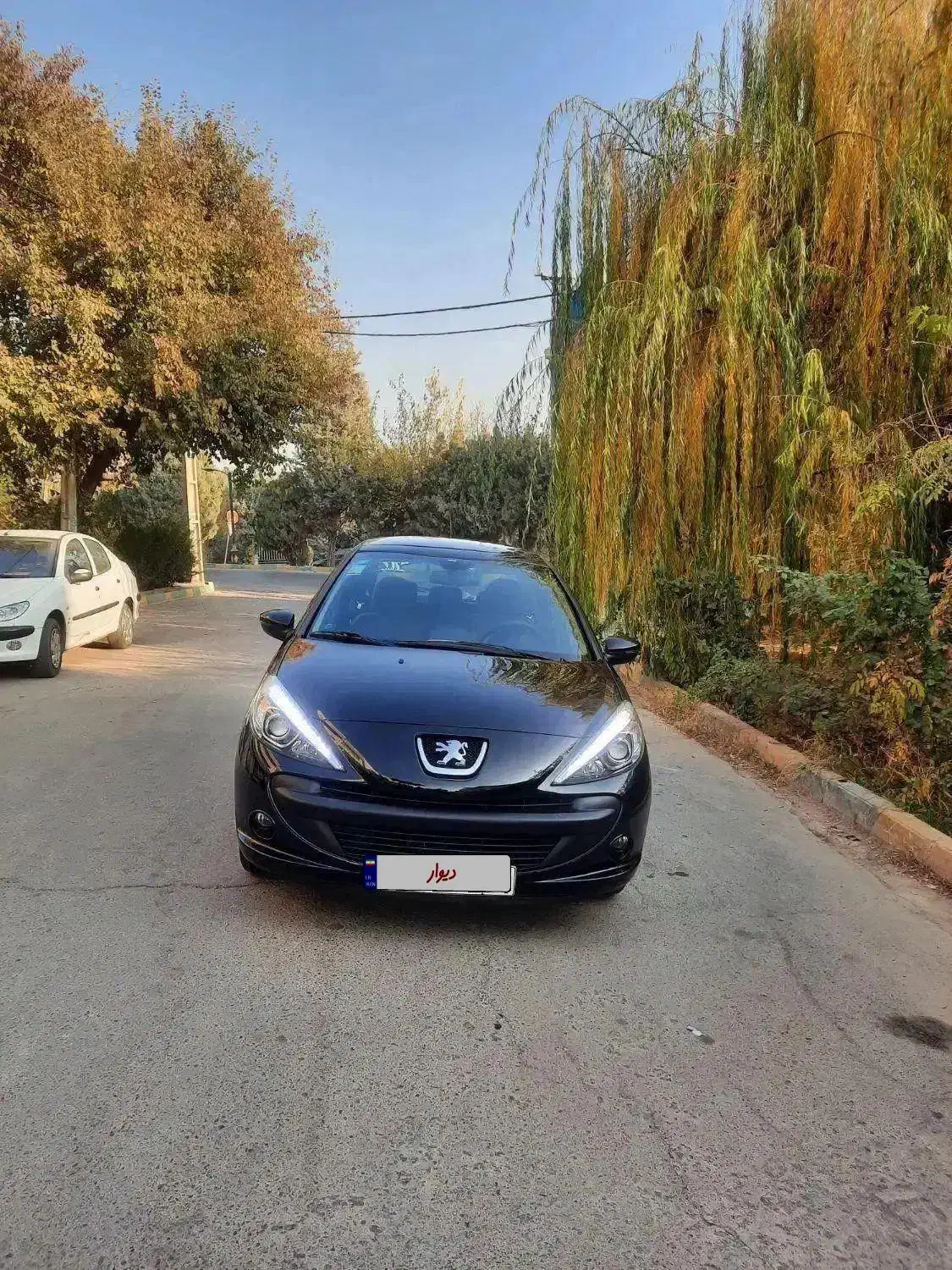 ۲۰۷ پانوراما ارتقا|خودرو سواری و وانت|فردیس, خیام غربی|دیوار