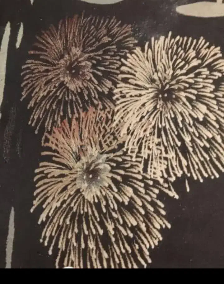 فرش|فرش|پرند, فاز ۳|دیوار