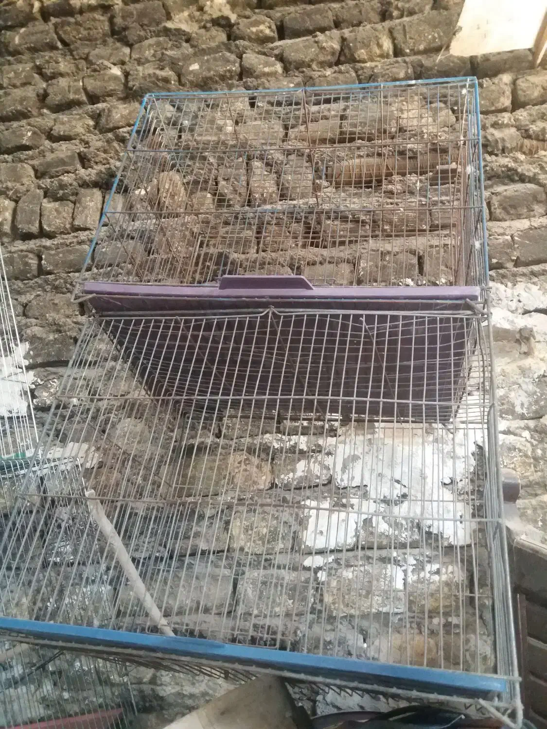 قفس پرنده|لوازم جانبی حیوانات|اصفهان, قهاب جنوبی|دیوار