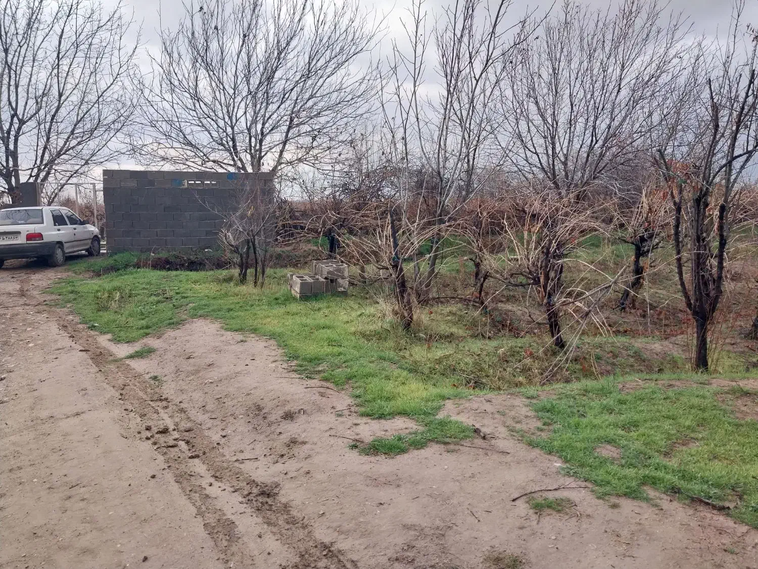 باغ شهری ۱۰۰۰متری|فروش زمین و ملک کلنگی|کوار, |دیوار